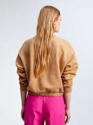 Lola Casademunt Sweatshirt  brun / lysebrun / pink / sort