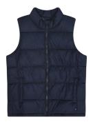 GAP Vest 'V-OPP'  navy