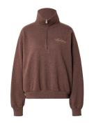 HOLLISTER Sweatshirt  mokka / brun-meleret