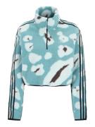 ADIDAS SPORTSWEAR Sportspullover  turkis / brun / sort / hvid