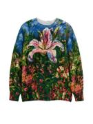 Desigual Pullover  blandingsfarvet