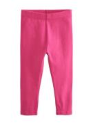 Next Leggings  pink