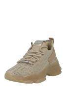 STEVE MADDEN Sneaker low 'Maxout'  mørkebeige / sølv