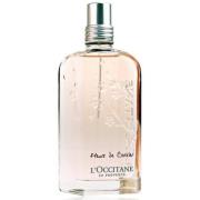 L'Occitane Fleurs de Cerisier Cherry Blossom Eau de Toilette 75 m