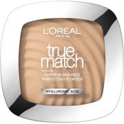 Loreal Paris True Match True Match Powder 2N