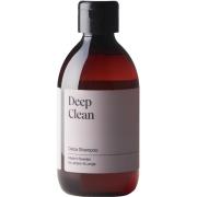 Larsson & Lange Deep Clean Detox Shampoo 300 ml
