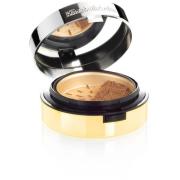 Elizabeth Arden Pure Finish Mineral Foundation 7