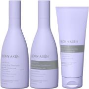 Björn Axen Cool Blonde Coloring Silver Trio