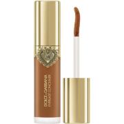 Dolce & Gabbana Everlast Concealer 24H Wear Crease-Proof Hydratin
