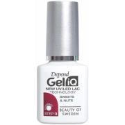 Depend GeliQ Winter Collection Sweets & Nuts