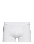 Shorts Boxershorts White Schiesser