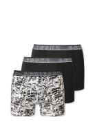 Shorts Night & Underwear Underwear Underpants Black Schiesser