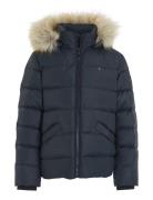 Essential Down Fur Hood Jacket Foret Jakke Navy Tommy Hilfiger