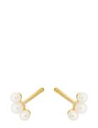 Ocean Pearl Earsticks Accessories Jewellery Earrings Studs Multi/patterned Pernille Corydon