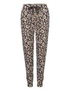 Pant Brushed Jersey Leopard Pyjamasbukser Hyggebukser Black Hunkemöller