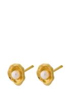 Hidden Pearl Earsticks Accessories Jewellery Earrings Studs Gold Pernille Corydon