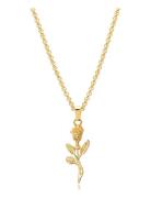 Men's Rose Pendant Necklace 3Mm Chain Halskæde Smykker Gold Nialaya