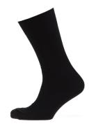 Claudio Socks Solid Colours Underwear Socks Regular Socks Black Claudio
