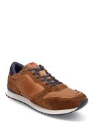 Edmond Low-top Sneakers Brown Lloyd