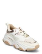 Progressive Sneaker Low-top Sneakers Cream Steve Madden