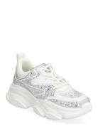 Jprivy Sneaker Low-top Sneakers White Steve Madden