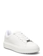 Catcher Sneaker Low-top Sneakers White Steve Madden