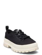 Pallashock Lo Org 2 Low-top Sneakers Black Palladium