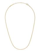 Elan Twisted Chain Necklace Short G Accessories Jewellery Necklaces Chain Necklaces Gold Daniel Wellington