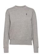 Fleece Pullover Tops Sweatshirts & Hoodies Sweatshirts Grey Polo Ralph Lauren