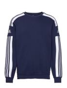 Squadra21 Sweat Top Sport Sweatshirts & Hoodies Sweatshirts Blue Adidas Performance