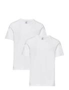 Shirt 1/2 Tops T-Kortærmet Skjorte White Schiesser