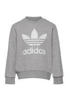 Trefoil Crew Sweatshirt Tops Sweatshirts & Hoodies Sweatshirts Grey Adidas Originals
