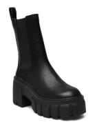 Ballistic Bootie Shoes Boots Ankle Boots Ankle Boots With Heel Black Steve Madden