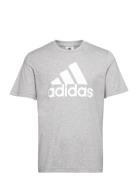 Essentials Single Jersey Big Logo T-Shirt Sport T-Kortærmet Skjorte Grey Adidas Sportswear