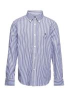 50/1 Poplin-Ls Bd-Si-Sps Tops Shirts Long-sleeved Shirts Navy Ralph Lauren Kids