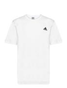 Essentials Single Jersey Embroidered Small Logo T-Shirt Sport T-Kortærmet Skjorte White Adidas Sportswear