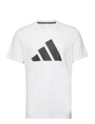 Adidas Train Essentials Feelready Logo Training T-Shirt Sport T-Kortærmet Skjorte White Adidas Performance