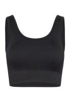 Soft Rib Seamless Crop Top Sport Bras & Tops Sports Bras - All Black Moonchild Yoga Wear