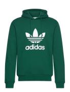 Trefoil Hoody Sport Sweatshirts & Hoodies Sweatshirts Green Adidas Originals