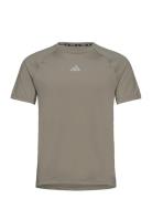Adidas Gym+ Training T-Shirt Sport T-Kortærmet Skjorte Green Adidas Performance