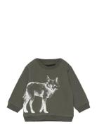 Sweatshirt Tops Sweatshirts & Hoodies Sweatshirts Khaki Green Sofie Schnoor Baby And Kids