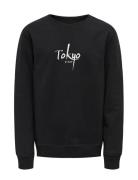 Kobtheo L/S O-Neck Box Swt Tops Sweatshirts & Hoodies Sweatshirts Black Kids Only
