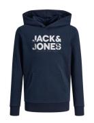 Jjembro Palm Sweat Hood Jnr Tops Sweatshirts & Hoodies Hoodies Navy Jack & J S