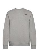 Ri Left Chest Logo C Sport Sweatshirts & Hoodies Sweatshirts Grey Reebok Classics
