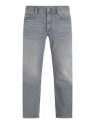 Straight Denton Str Tuxis Grey Bottoms Jeans Regular Grey Tommy Hilfiger