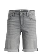 Jjirick Jjioriginal Shorts Mf 926 Sn Mni Bottoms Shorts Grey Jack & J S