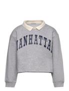 Cropped Polo Sweat Tops Sweatshirts & Hoodies Sweatshirts Grey Tom Tailor