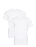2-Pack V-Neck Tops T-Kortærmet Skjorte White Bread & Boxers