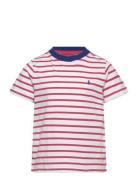 Striped Cotton Jersey Tee Tops T-Kortærmet Skjorte Red Ralph Lauren Kids
