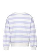 Striped Cotton-Blend Sweatshirt Tops Sweatshirts & Hoodies Sweatshirts Purple Mango